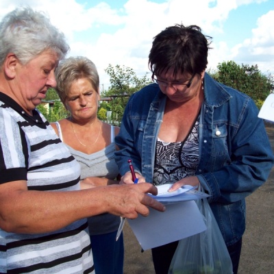SLD Wielkopolskie